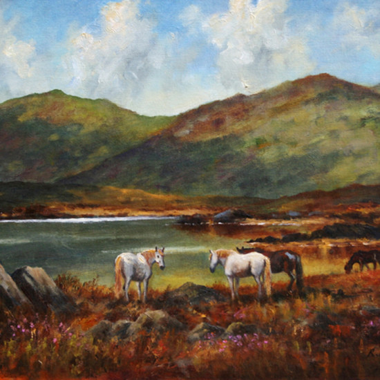 Robert Harcus - Connemara ponies near Clifden