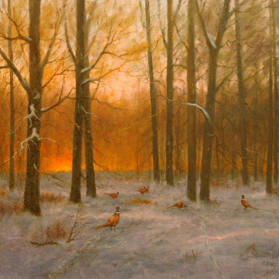 Robert Harcus - Pheasants at dawn
