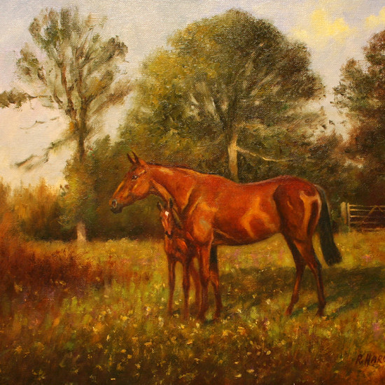 Robert Harcus - Thoroughbred and foal